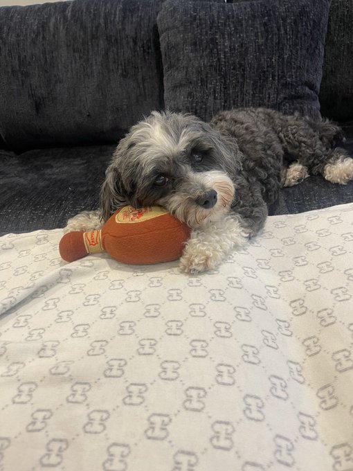 Lucky & his Dog Julio. ?? https://t.co/QFeALdcDZD