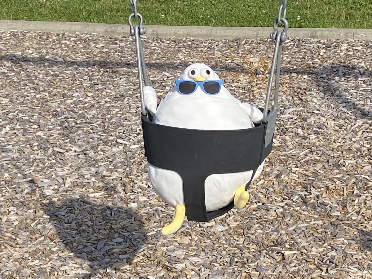 PedroSeagull's tweet photo. Having fun at the park https://t.co/dMr8JNnhqY