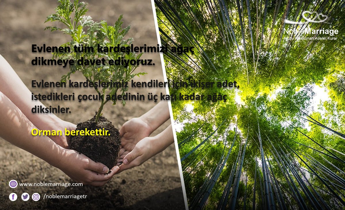 Evlenen tüm kardeşlerimizi ağaç dikmeye davet ediyoruz.
Evlenen kardeşlerimiz kendileri için ikişer adet, istedikleri çocuk adedinin üç katı kadar ağaç diksinler.
Orman berekettir.

#asilevlilik #ağaçdikelim #orman #Haram #Helal #İstanbul #Türkiye #evliliksitesi #çevrenitemiztut