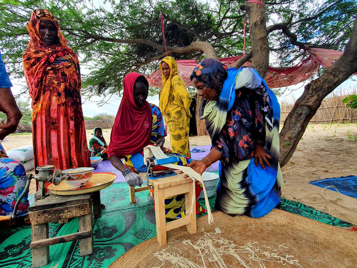 Voici Fatime, Fati et Djollo, trois femmes déplacées par l'insécurité dans la province du Lac. Avec le soutien de @ONUmigration et @koicacameroon, elles ont reçu une formation et des outils de transformation alimentaire afin de reconstruire leurs vies.