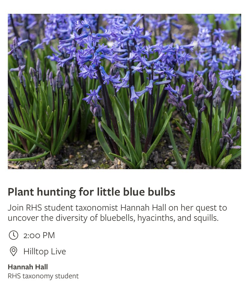 hannah_con_bio's tweet photo. Are you going to be @RHSWisley on 12th August? If so, pop along to my talk about the hunt for little blue bulbs 🌱 It will be an introduction to Hyacinthinae and the weird and wonderful diversity found within the group 🙌🏻 #botany #taxonomy #bluebells #hyacinths #squills https://t.co/S9pjLz79SL