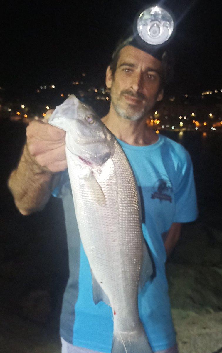 PredatorsFishi1's tweet photo. cuando te esperas de todo menos esa captura¡ #pesca #pescaalvivo
#fishinglife  #surfcasting
#fishingaddict 
#predadorsfishingmediterraneo #llobarro #lubina #pescadores  #saltwater 
#pescadeportiva https://t.co/zeVYEjnn4O