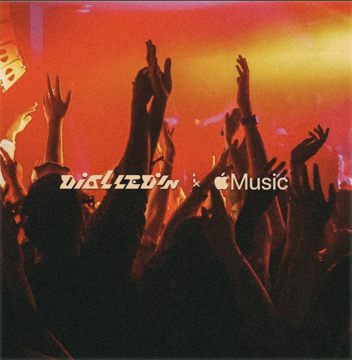 dialledin_ tweet media