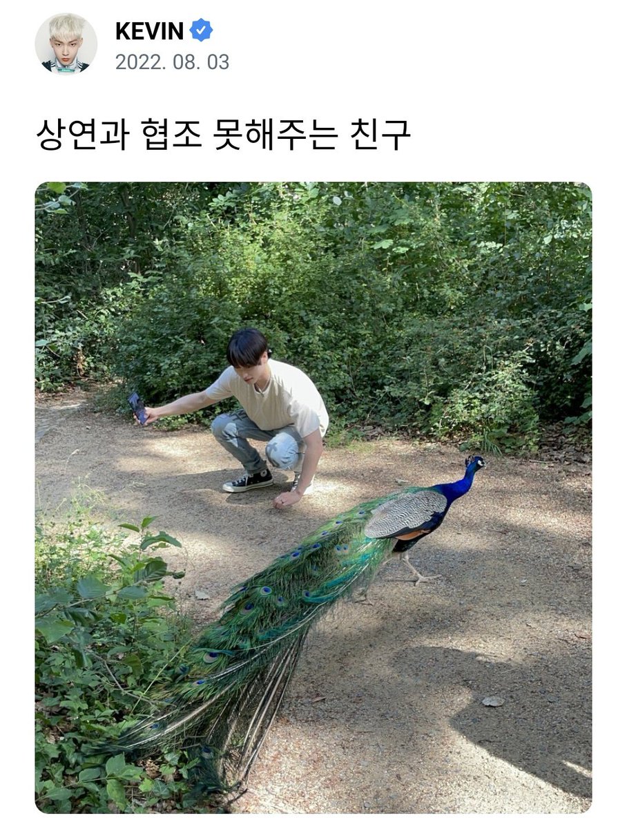 leaderyeons's tweet photo. sangyeon and his animal friends ❤️ https://t.co/lhNwL4NvO5