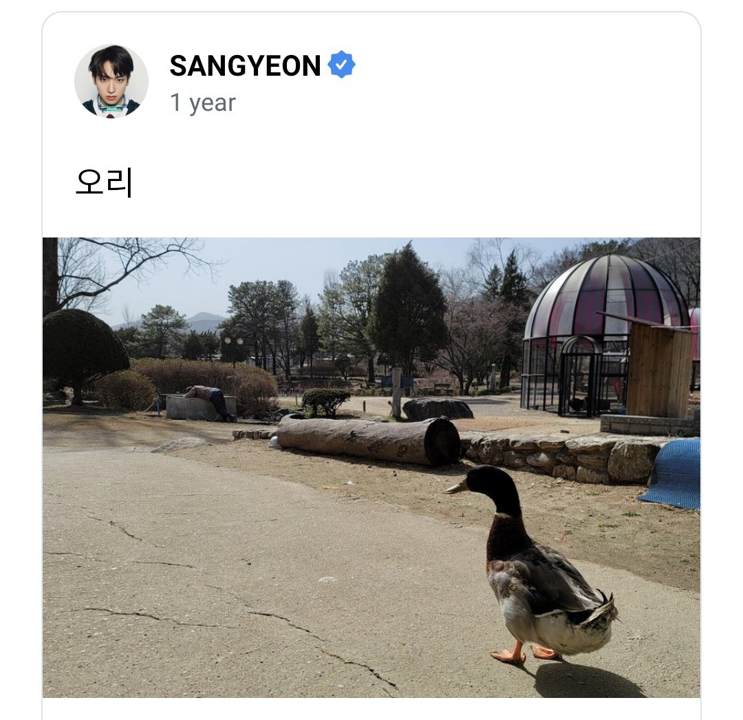 leaderyeons's tweet photo. sangyeon and his animal friends ❤️ https://t.co/lhNwL4NvO5