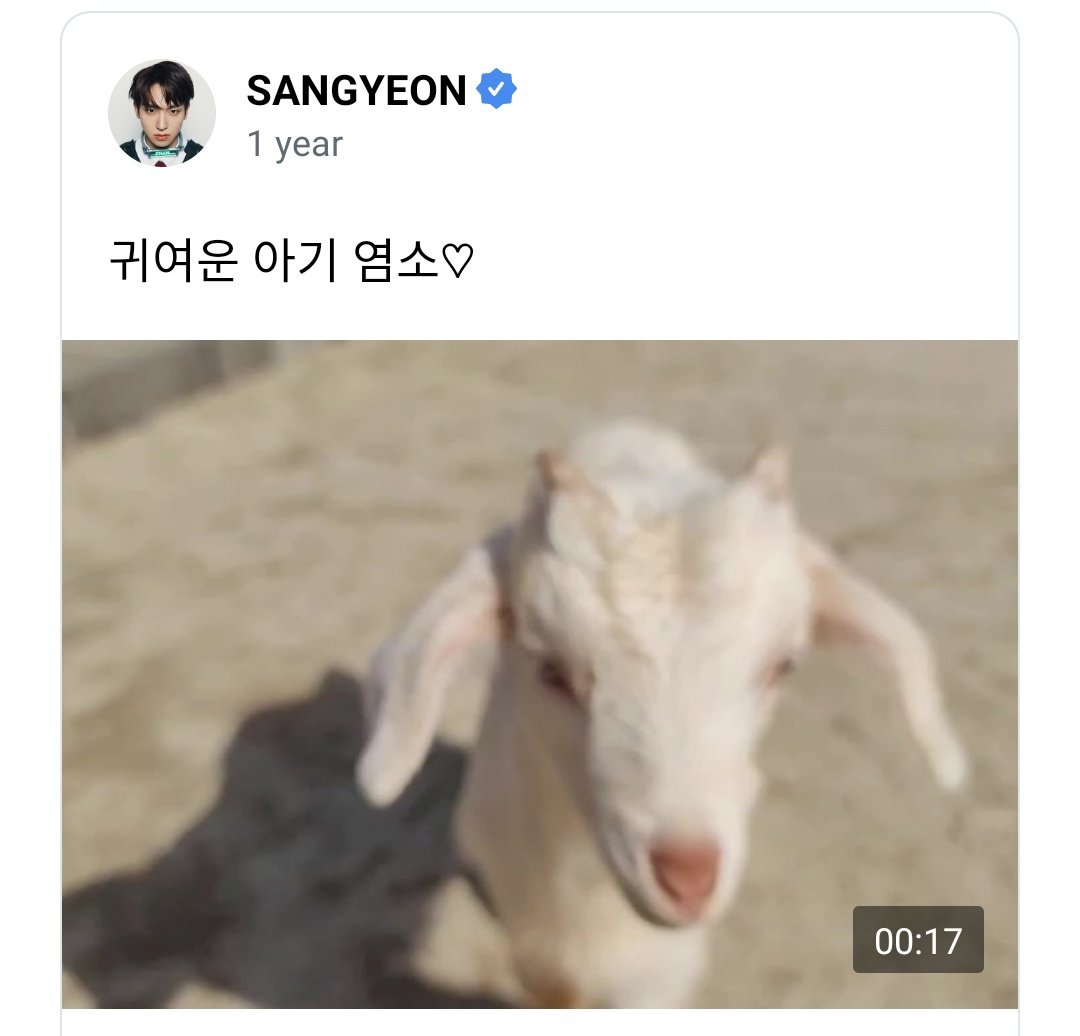 leaderyeons's tweet photo. sangyeon and his animal friends ❤️ https://t.co/lhNwL4NvO5