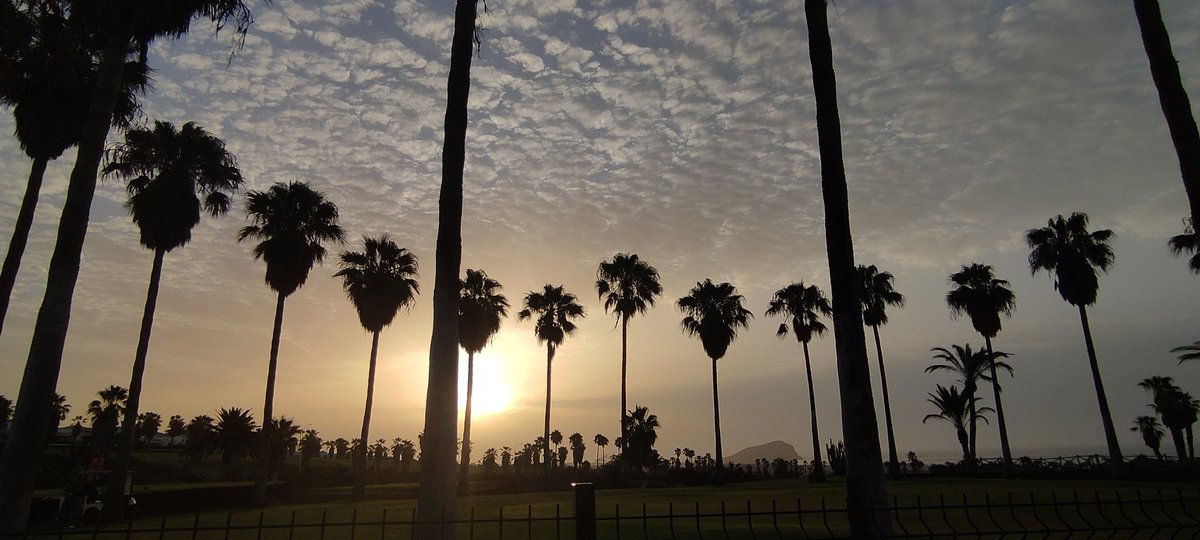 Noemi Seco (@noemiseco_12) on Twitter photo The sun give us light, heat, energy and amazing good mornig views from.. #royaltenerifecountryclub #summertime #golfdelsur #sunrise <a href="/SoniaMerayo/">Sonia Merayo</a> <a href="/Marialuisagarec/">Maria Luisa GA</a> <a href="/JuanjoTenerif/">Juanjo</a> <a href="/Amorgreeneyes/">MerlynAmor</a> @TaniaSanxenxo <a href="/Laura_RCTF/">Laura_RC</a> <a href="/Milacompi/">Mila Soto</a> <a href="/Oscar3637483977/">Óscar Socas</a> The sun give us light, heat, energy and amazing good mornig views from.. #royaltenerifecountryclub #summertime #golfdelsur #sunrise <a href="/SoniaMerayo/">Sonia Merayo</a> <a href="/Marialuisagarec/">Maria Luisa GA</a> <a href="/JuanjoTenerif/">Juanjo</a> <a href="/Amorgreeneyes/">MerlynAmor</a> @TaniaSanxenxo <a href="/Laura_RCTF/">Laura_RC</a> <a href="/Milacompi/">Mila Soto</a> <a href="/Oscar3637483977/">Óscar Socas</a>