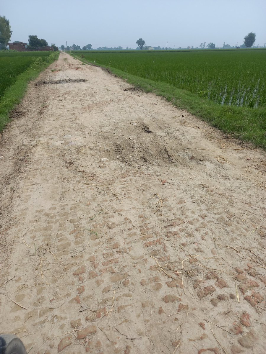 AmanJayestboy's tweet photo. @CMOHaryana @mlkhattar @Dchautala
Cm haryana sir जम्मुखाला  (डाबरकीपर) से      यमुना नदी पर जाने वाले सड़क को बनवाने की कृपा करें। बारिश के समय सड़क से निकलना भी मुश्किल हो जाता है और हमे स्कूल कॉलेज जाने में दीकत आती है। कृपा करके इसे जल्द से जल्द बनवाने की कृपा करे । https://t.co/5UaDgvPDiV