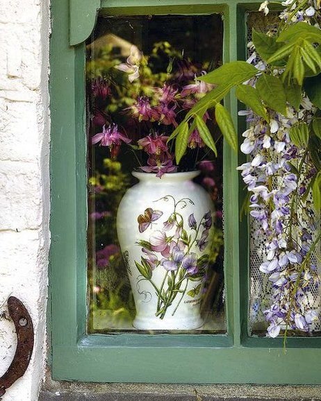 Bd 🕊️🌐🕊️🌐🕊️🌐🕊️🌐🕊️