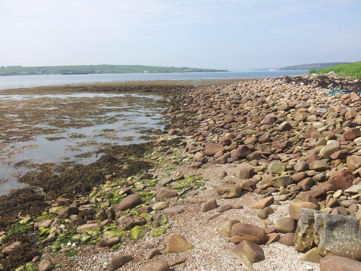 manonabeach's tweet photo. What the #beach means at #Widewall Bay on #SouthRonaldsay #Orkney in #Scotland, with @deer_distillery - https://t.co/dI88d9wUhQ https://t.co/tFHL7NTCY8