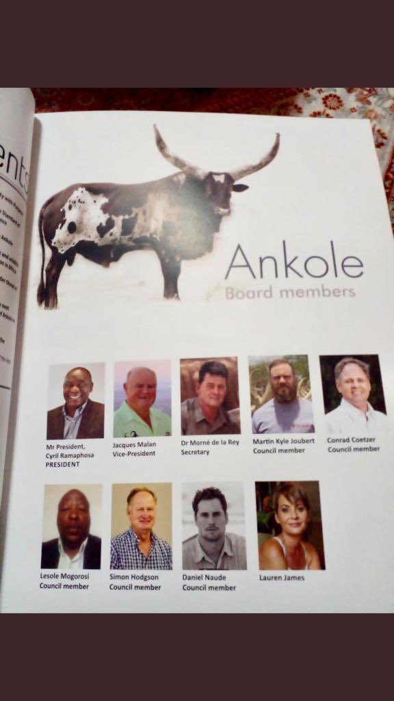 RamaboduObakeng's tweet photo. Ankole Board Members . https://t.co/c0RmVukDy5