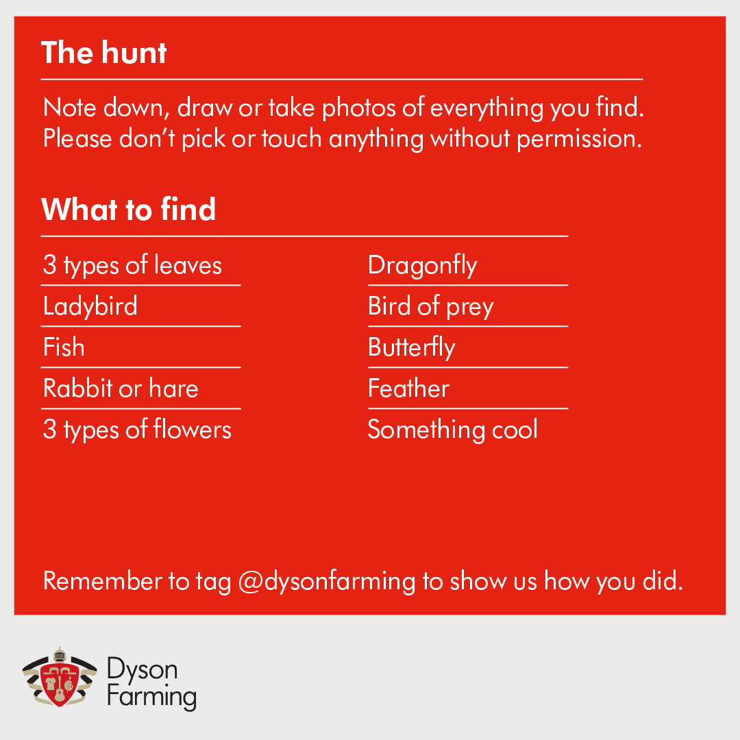 Dyson Farming tweet media