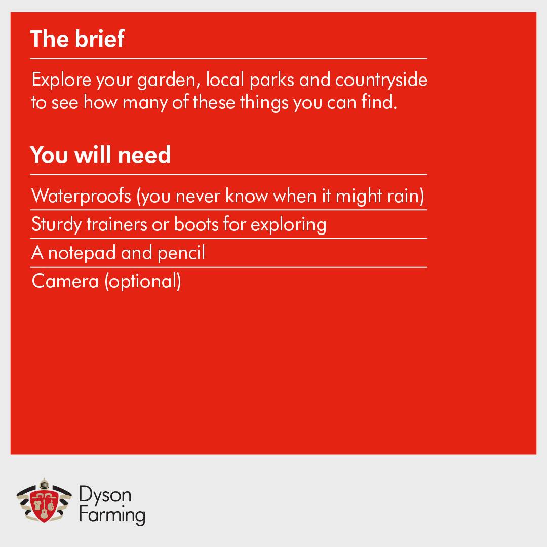 Dyson Farming tweet media