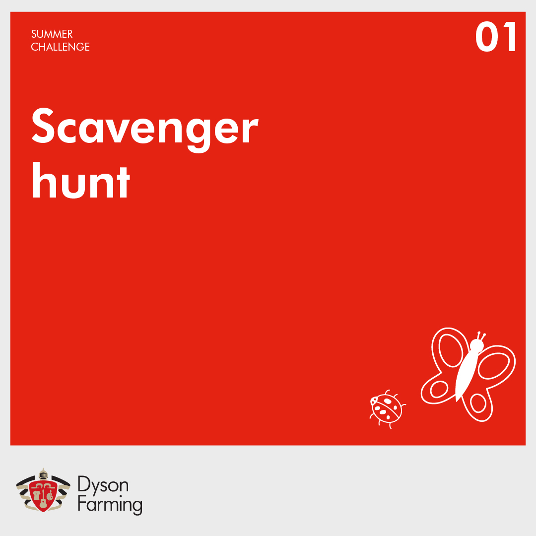 Dyson Farming tweet media