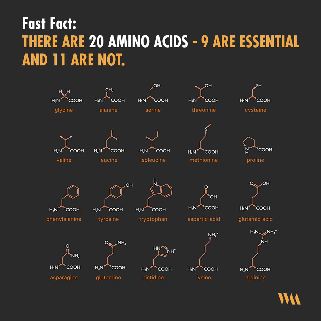 Fast Fact: There are 20 amino acids -- 9 are essential and 11 are not. Complete sources of protein come via animal sources, which contain all 9 essential amino acids.  #workoutmeals
#fitfam #gains #strength #personaltraining #instafit
