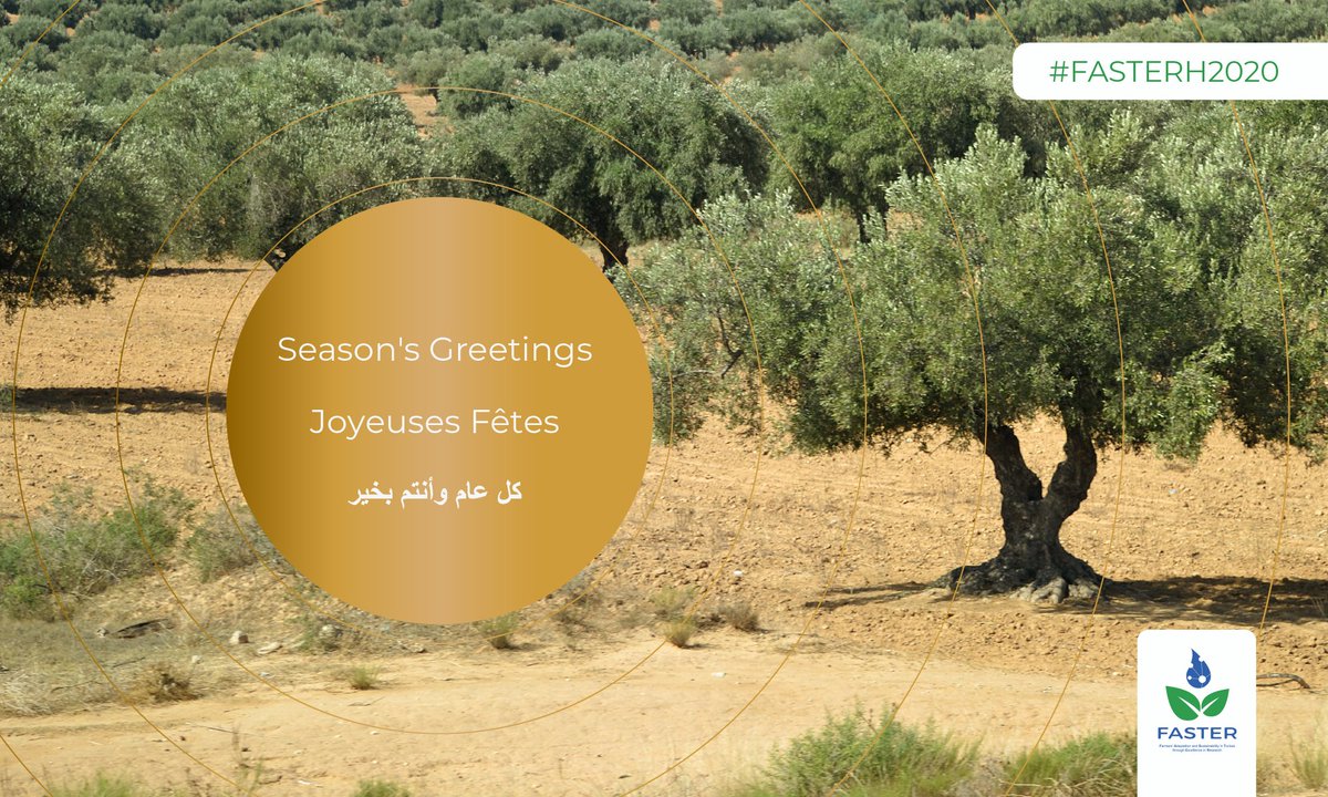 The FASTER project wishes you a happy holiday season and a prosperous new year! All the best for 2023.
#FASTERH2020 #ResearchExcellence #TimeForAction #Environment