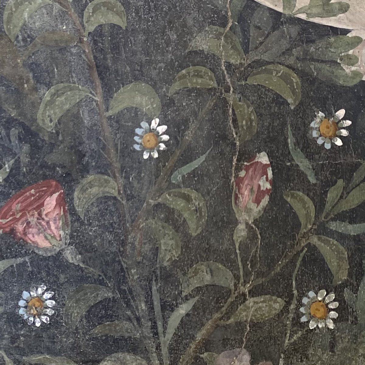 pompei79's tweet photo. Flowers and foliage. 
Beautiful details from the garden fresco of the House of the Golden Bracelet in #Pompeii.
Currently on display in the Grande Palaestra @pompeii_sites https://t.co/XUywM5n6Ui