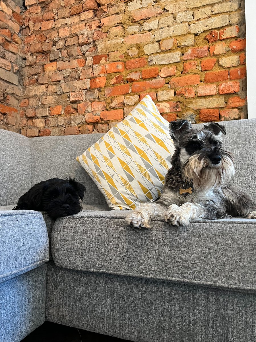 Makers Company tweet media