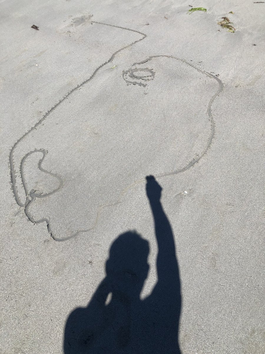 quibelog's tweet photo. Chewal de sable #bonnevacances #SummerVibes #onsamuse https://t.co/w8V9MYWCKB