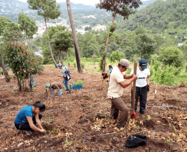 We are now 7 months into our #treedonation commitment meaning we have planted a whopping 650 trees in areas that need them most 🌳 The latest location that we donated trees to was Mexico 🇲🇽 helping to protect butterflies, prevent landslides & work with indigenous communities✔️