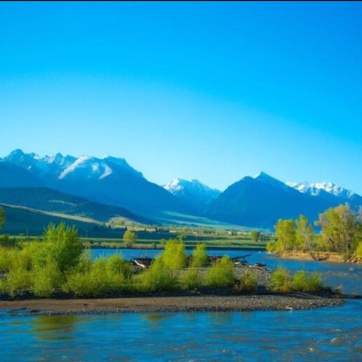 Projecteur TV tweet media