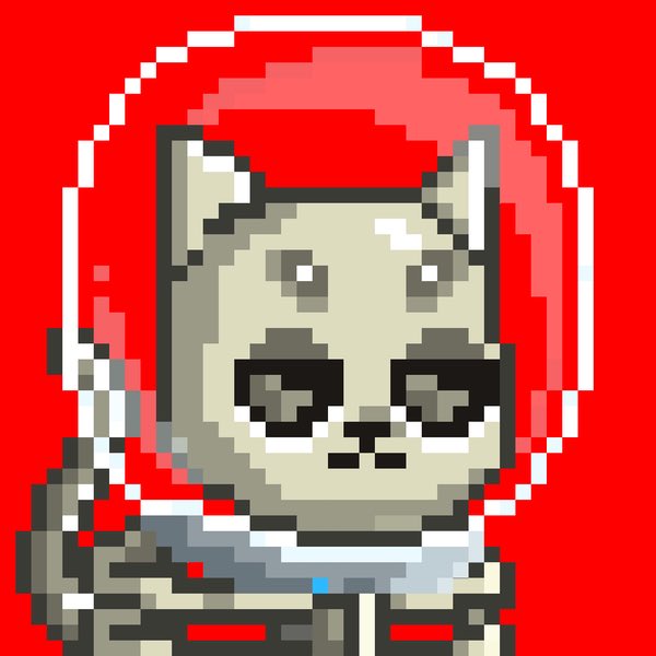 mrventuresnft's tweet image. My @MooncatzNFT crew all together 🐱RT if I should sweep some more 🌙 #ETH #MEOW #takeover #BullishAF #Collectibles #DELIST #ALPHA