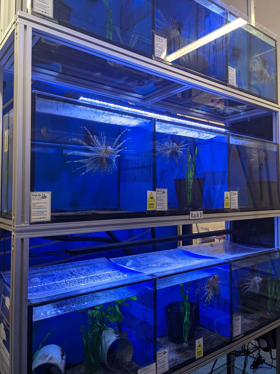 loopbio quantitative biology tweet media