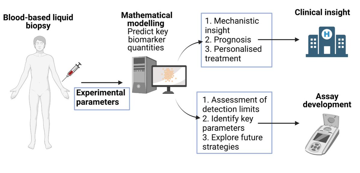 johanna_blee's tweet photo. Excited to share our new paper on mathematical modelling of biomarkers for blood-based biopsies for brain tumours - https://t.co/IG0DBF5pzT - @sabinehauert and K. Kurian @BristolCancer @CRUKresearch @BristolEngMaths @BristolIandI https://t.co/UttilCUF5T