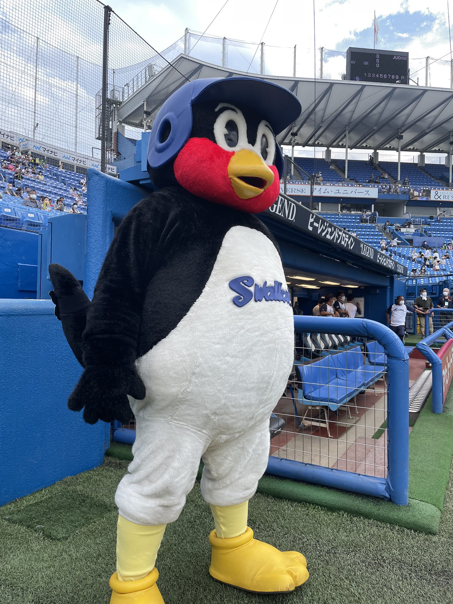 東京ヤクルトスワローズ公式 つば九郎も元気にグラウンドへ Swallows つば九郎 T Co Xgxivfato7 Twitter 東京ヤクルトスワローズ公式 つば九郎も元気にグラウンドへ Swallows つば九郎 T Co Xgxivfato7 Twitter