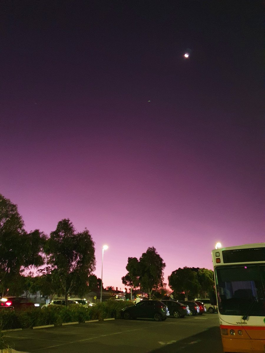 rnettee's tweet image. Wow the purple.