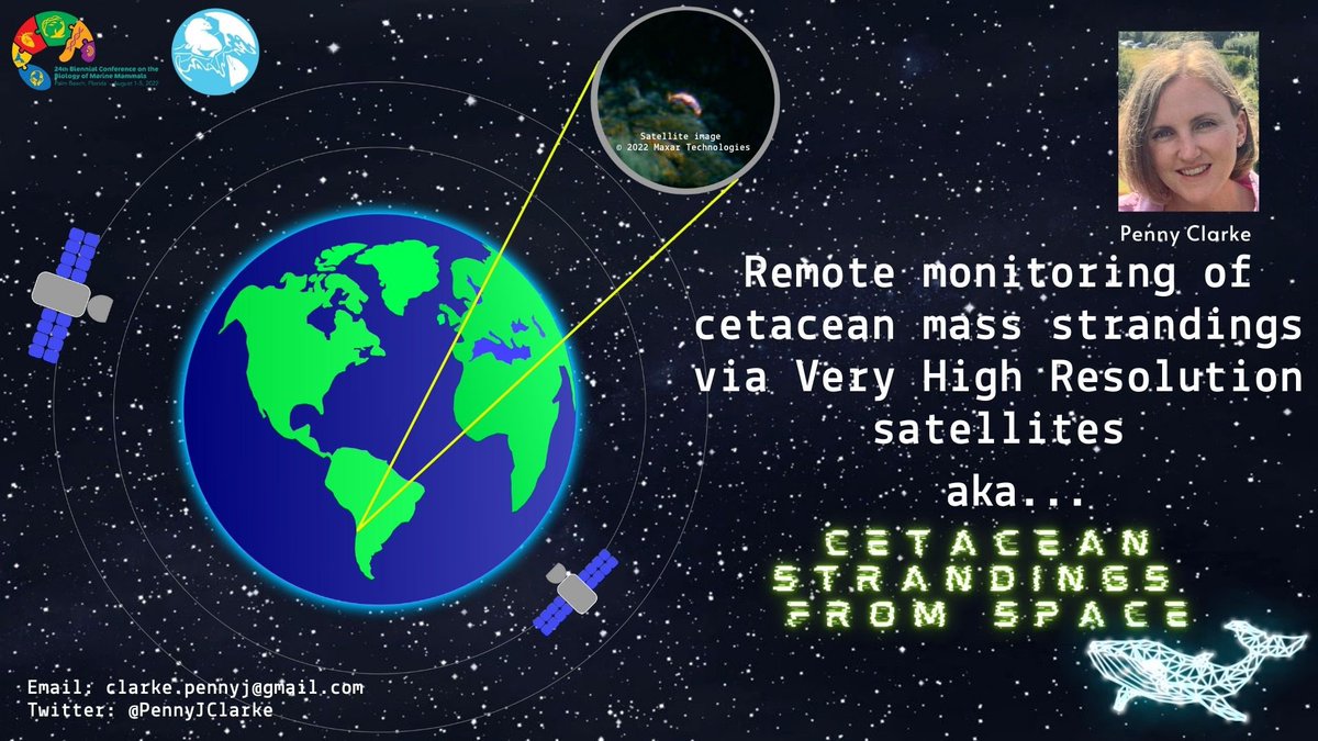 #Whale #strandings from space 🐋 🛰. Fancy an out of this world adventure #SMM2022? Explore our on demand talk and come chat, office hours, Thursday 4th at 16:00 UK time. @polarbiome @WhalesFromSpace @karen_stockin @ashadevos @CarlosOlavarra4 @PeterTFretwell #conservation