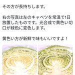 これだけ見ればバッチリ!今までバズった野菜果物の裏ワザまとめ!