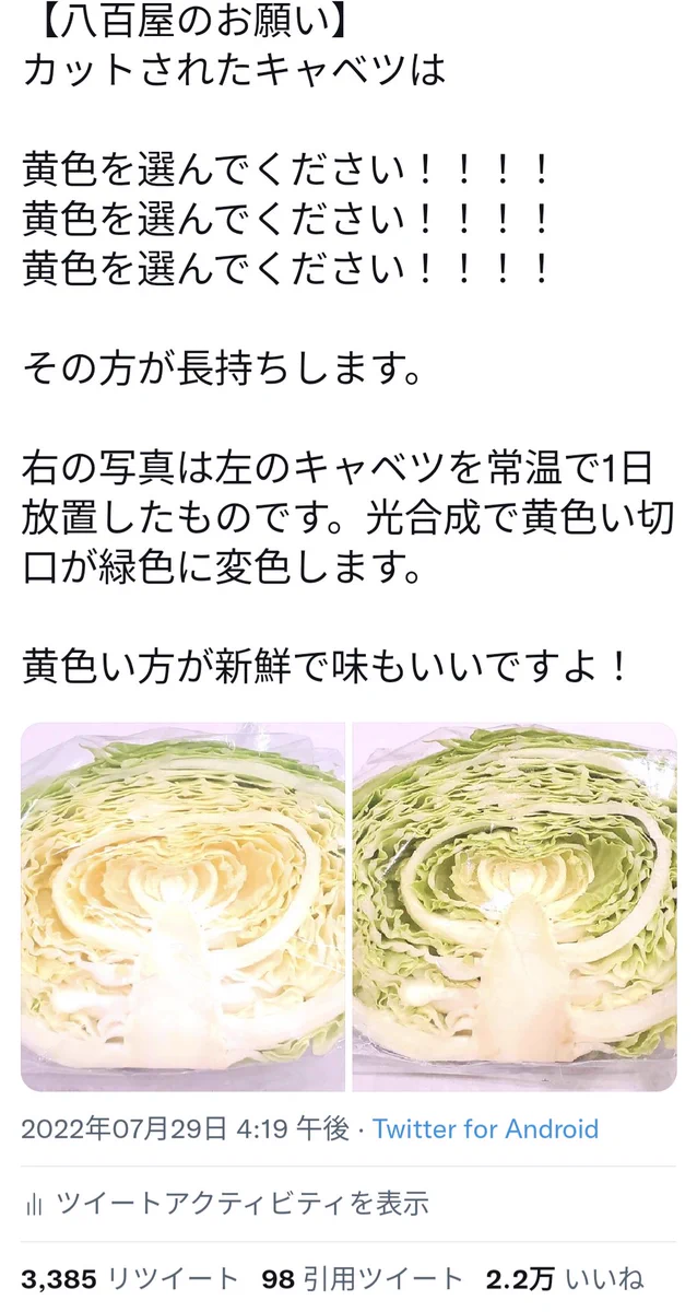 これだけ見ればバッチリ！今までバズった野菜果物の裏ワザまとめ！