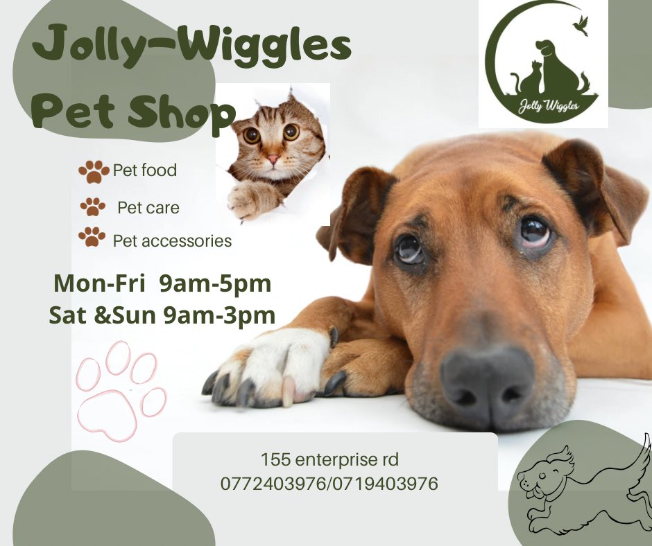 nyerololo's tweet photo. Your support goes a long way. All pet care and accessories under one roof. Come on in https://t.co/krygLQIyXW