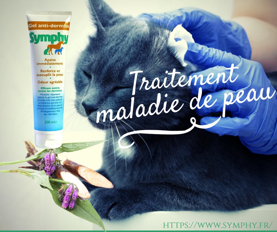 fandeconsoude's tweet photo. Un #gel à base de #consoude pour soigner les #maladies_de_peaux des animaux
B-actif, spécialiste de la consoude a créé un nouveau produit très efficace pour soulager les animaux qui souffrent de problèmes de peaux.
En savoir plus: https://t.co/j3eWor68AV https://t.co/aTz1deuPzO
