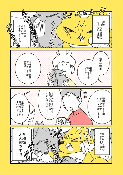 猫と子猫とサポートごはん 
https://t.co/68lFVUlCWV 