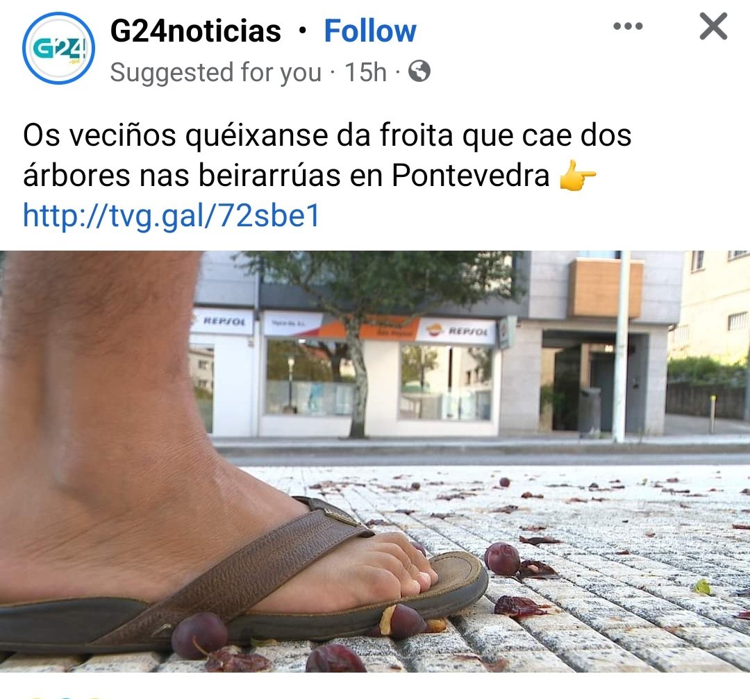 Noa Presas tweet media