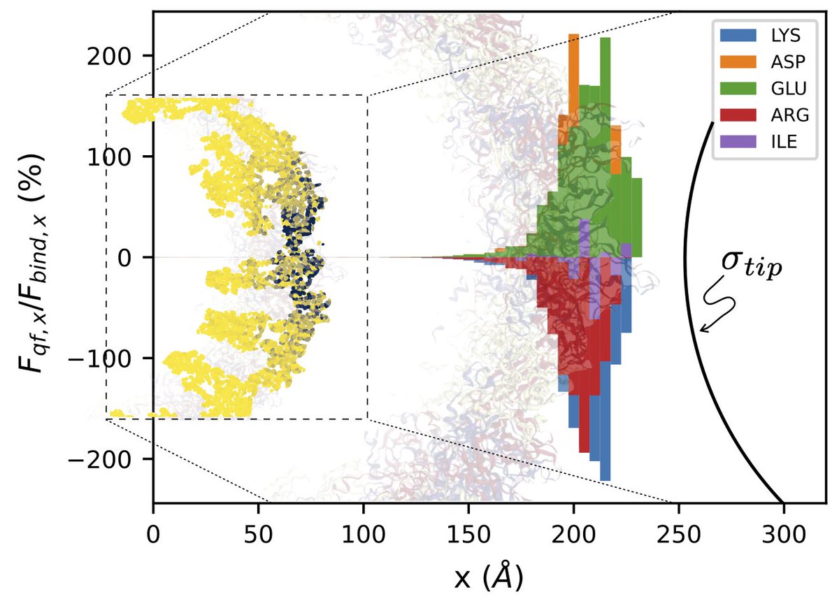 whoratz's tweet photo. How local is the role of electrostatic interactions in virus capsids 🧶❓Here we analytically/comp show that the electrostatic forces between nanoprobe-capsid has 3 main contributions: charge distribution, dielectric-jump and ions in the solvent @nanoscale_rsc #compchem 1/3  ⬇️ https://t.co/sMB3tBlUSh