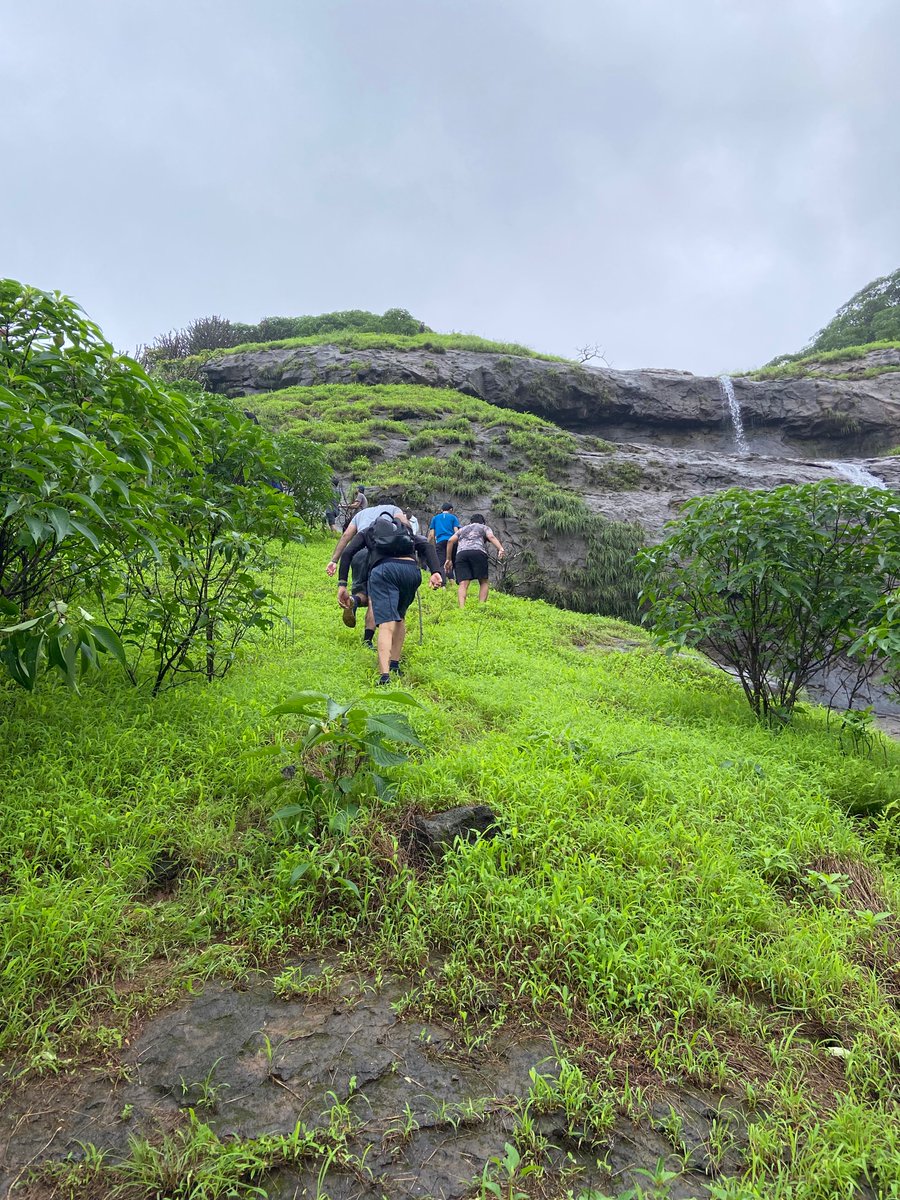 rushabh_mehta's tweet photo. Frappetreks! https://t.co/3tWr0UAw76