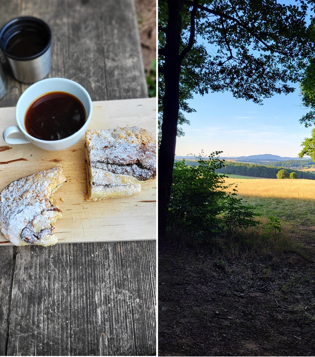 HerrGruenkocht's tweet photo. Ich hätte gerne so einen Wald in Hamburg. Morgens im Sommer aufstehen und zum Bäcker (mein Lieblingsbäcker im Saarland ist ja der Kalmes) - dann in den Wald. Das wäre schön.
https://t.co/XqtvifzUx2
#Sommer #Saarland #Wald #backen #Striezel #Kaffeestickscha https://t.co/F0xz6tMF04