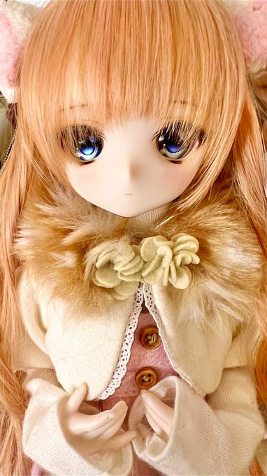 スマホでもここまで接写出来るようになったのね☺️💕
#ドルフィードリーム
#MDD
#DDdy 