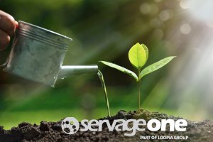 ServageHosting's tweet photo. Servage Webhosting – environmental responsible
https://t.co/w3aEAMapKw

#WebHosting #datacenter #environmental #climate #Sustainability https://t.co/NiA5NK08v2
