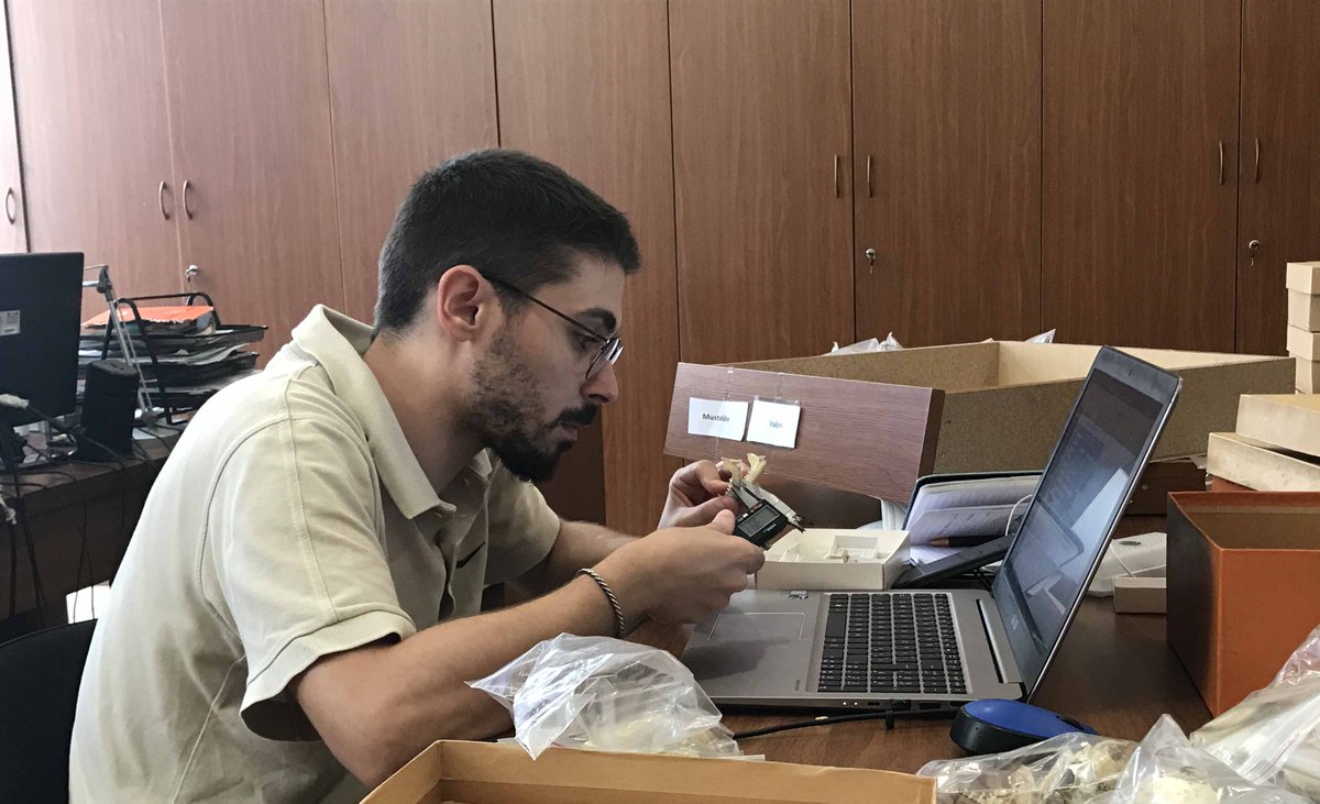 PaleoFabLab UNIFI tweet media