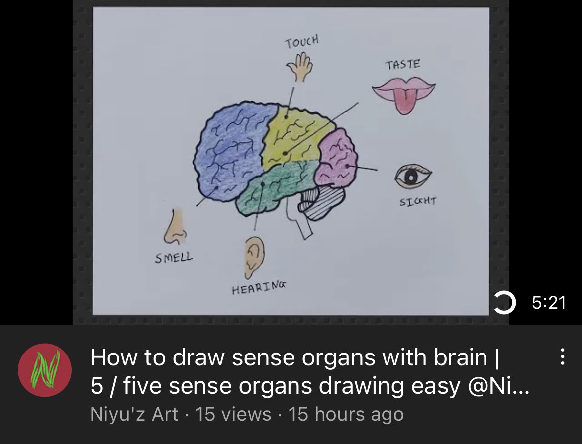 Top 132+ drawing of sense organs