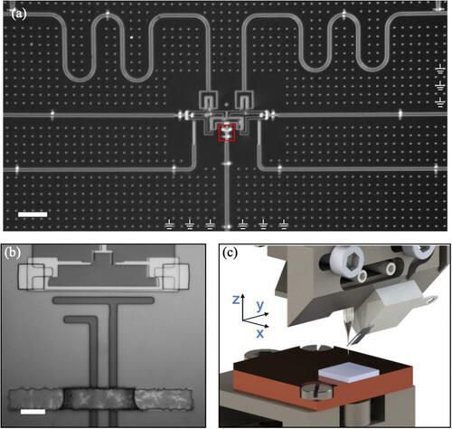 Andreas Wallraff tweet media
