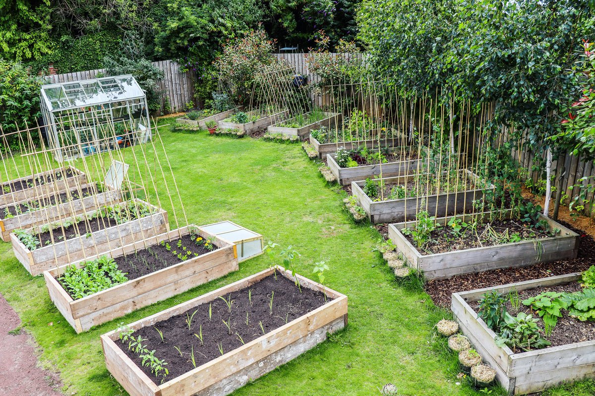 NO DIG(GITY)... you can find out all about our growing methods at our Träkol Kitchen Garden here... 👇 x

bytheriverbrew.co/trakol-kitchen…