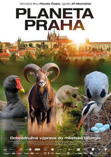 S kolegy Lucií Hoškovou a Lukášem Viktorou na premiéře filmu PLANETA PRAHA. 

🎞️ Kromě vizuálního zpracování vyzdvihuji i komentář, který velmi dobře plní svou osvětovou roli.

Ať vás film navnadí objevovat divočinu i ve vašem městě!🙂

👏Režie: Jan Hošek

aerofilms.cz/planeta-praha/