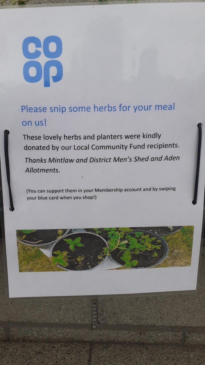 babshooli's tweet image. It's SnipAsYouCoopShop...... Thks @MintlawAndDistrictMen'sShed, &amp;amp; @AdenPlots for herb planters - pls Snip to add flavour to your meal @coopuk #Peterhead, #Mintlaw and #Strichen! ...&amp;amp; grab the recycled watering can (patent pending!) &amp;amp; give the herbs some TLC too!
@Keith32767104