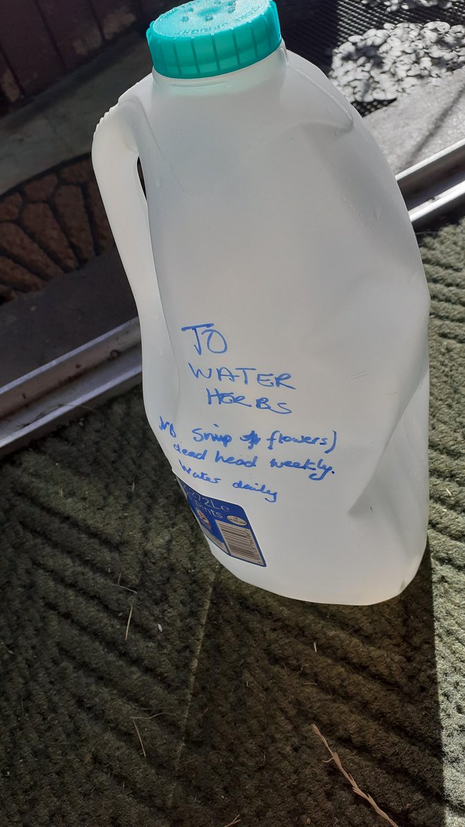 babshooli's tweet image. It's SnipAsYouCoopShop...... Thks @MintlawAndDistrictMen'sShed, &amp;amp; @AdenPlots for herb planters - pls Snip to add flavour to your meal @coopuk #Peterhead, #Mintlaw and #Strichen! ...&amp;amp; grab the recycled watering can (patent pending!) &amp;amp; give the herbs some TLC too!
@Keith32767104