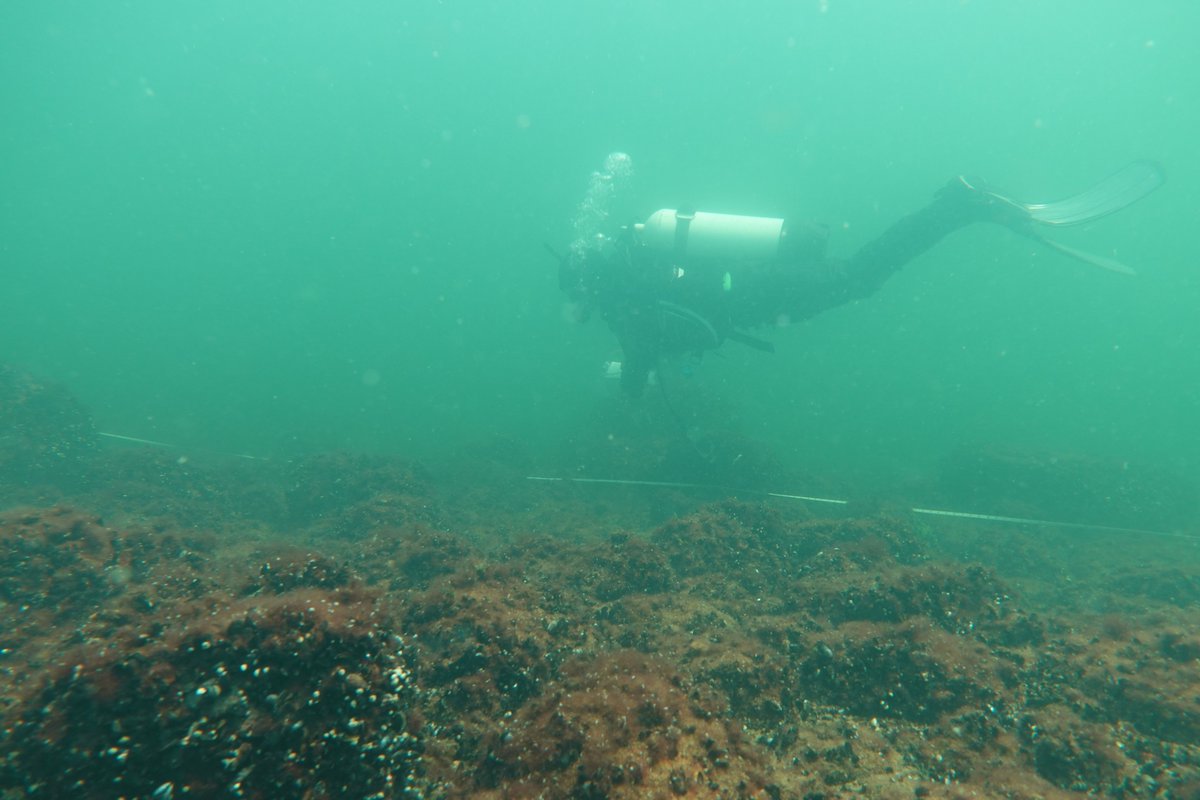 ÅlandSeaMap karterar på Kökar den här veckan. Vi har hittat karga och vågeroderade undervattensmiljöer som lyckas uppehålla ett välmående och mångfaldigt artsamhälle, reflekterande skärgården ovanför ytan. Bilder tagna av Petra Arola. #MarineMapping #Åland #Kökar #Östersjön